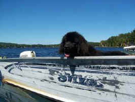 photo: Maggie in the boat.