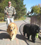 Lars, Angus and Dudley going for a walk