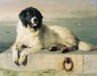 A Distinguished Member of the Humane Society; copy of Sir Edwin Henry's 1838 painting of a Landseer Newfoundland
