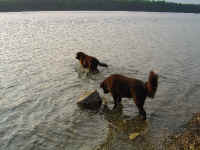 Mo and Nelly 'testing' the water!